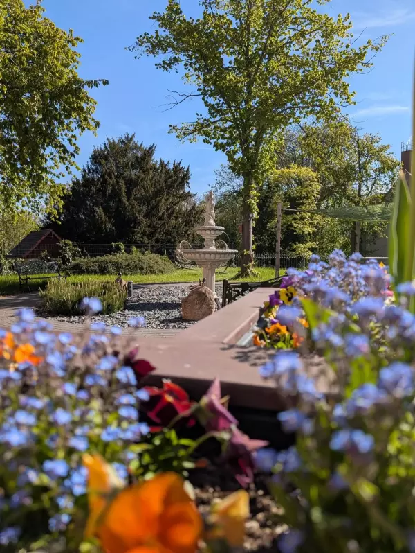 Frühlingserwachen in der Villa Freiraum und unserer Tagespflege in Riesa 💜  ...