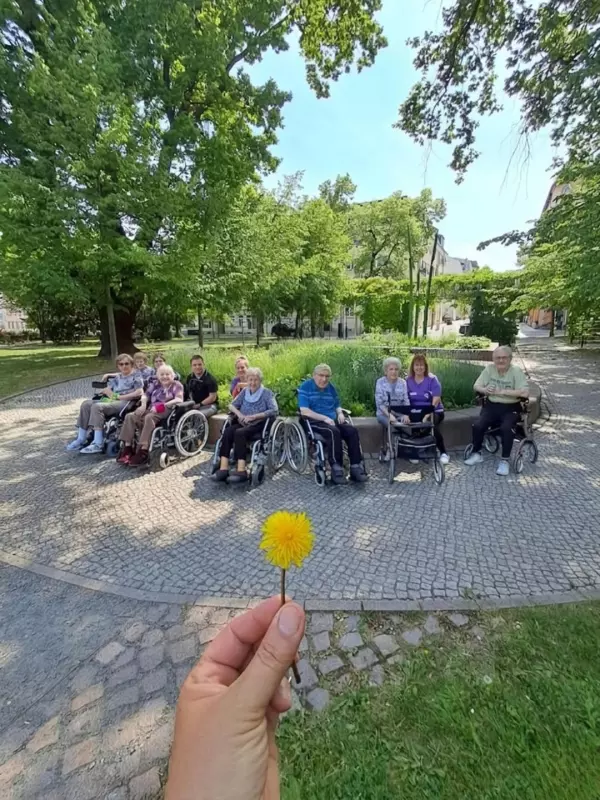 🌼 Manchmal reicht eine kleine Blume, um ein Lächeln zu schenken Ein schöner ...
